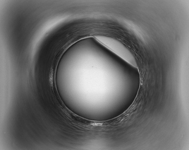 X0000094930052200711291009