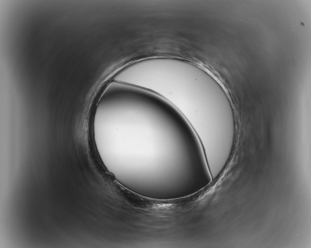 X0000094930055200711291009