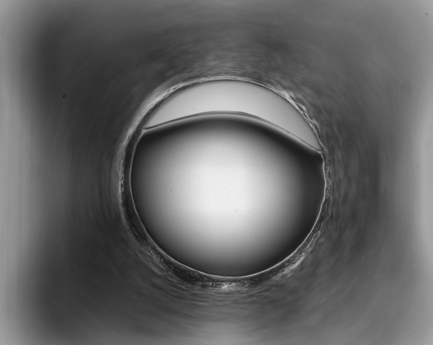 X0000094930056200711291009