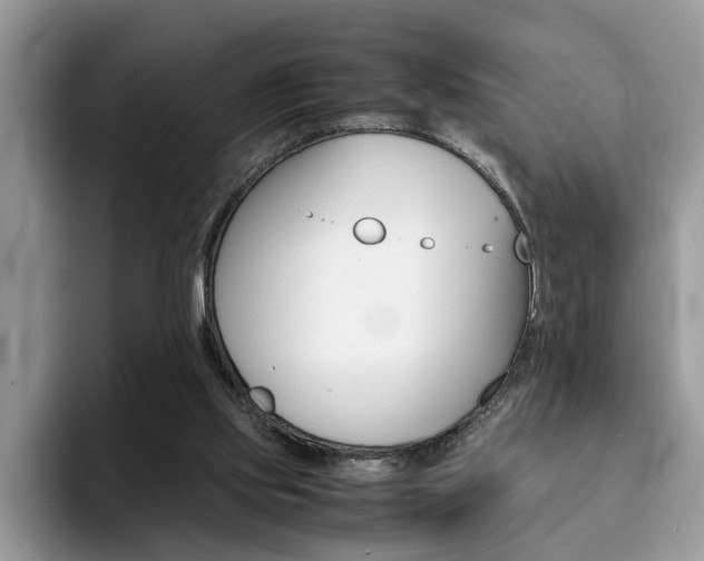 X0000094930061200711291009