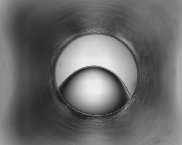 X0000094930062200711291009