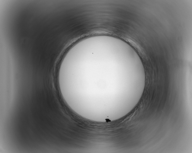 X0000094930064200711291009