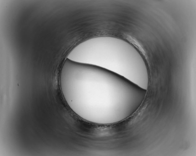 X0000094930065200711291009