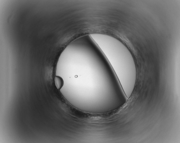 X0000094930066200711291009