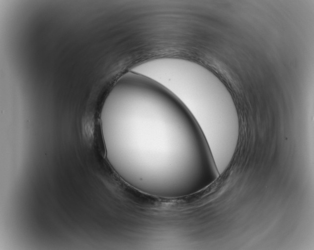 X0000094930072200711291009