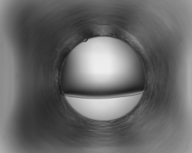 X0000094930073200711291009