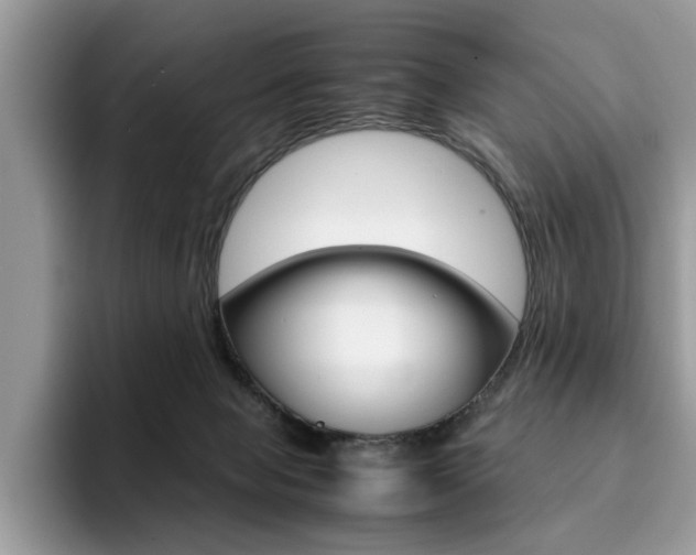 X0000094930077200711291009