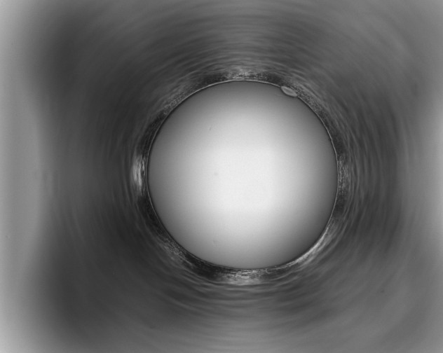 X0000094930094200711291010