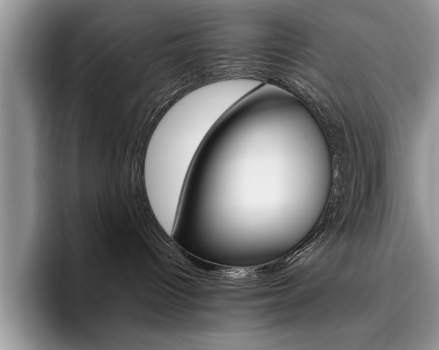 X0000094930096200711291010