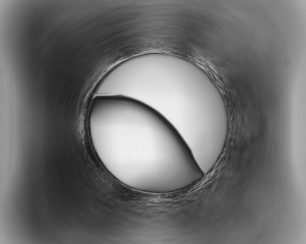 X0000094930098200711291009
