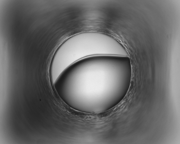 X0000094930099200711291009