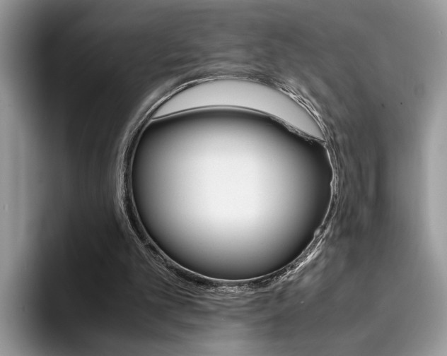 X0000094930101200711291009