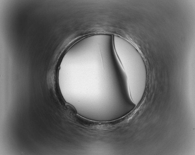 X0000094930103200711291009