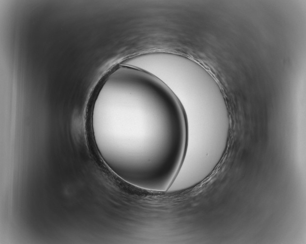 X0000094930104200711291009