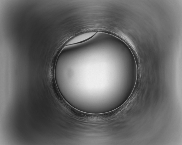 X0000094930105200711291009