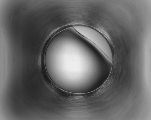 X0000094930108200711291009