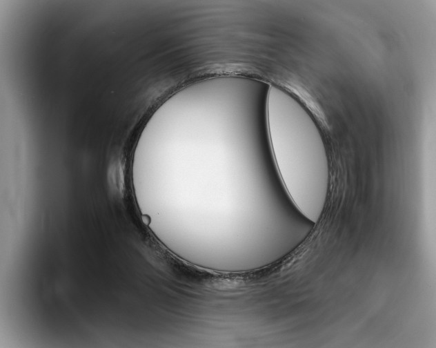 X0000094930110200711291009