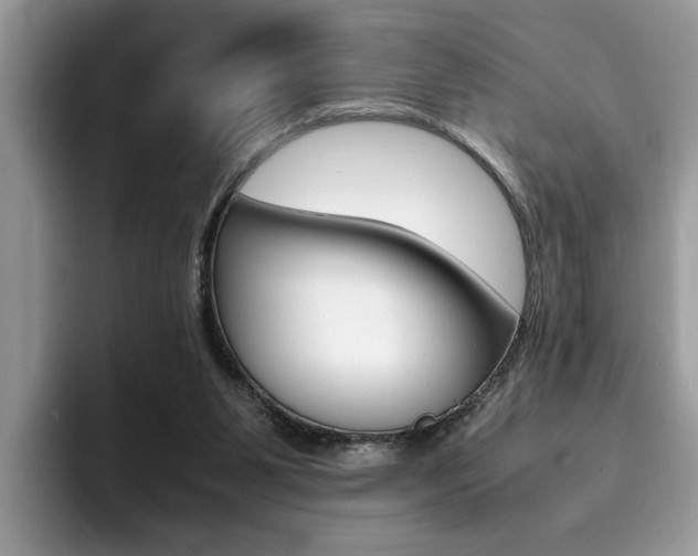 X0000094930111200711291009