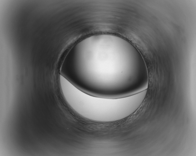 X0000094930112200711291009