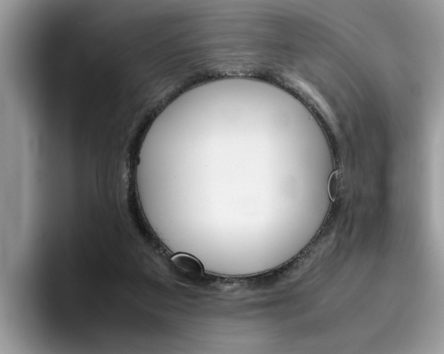 X0000094930113200711291009