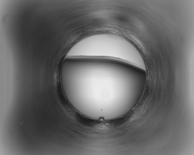 X0000094930119200711291009
