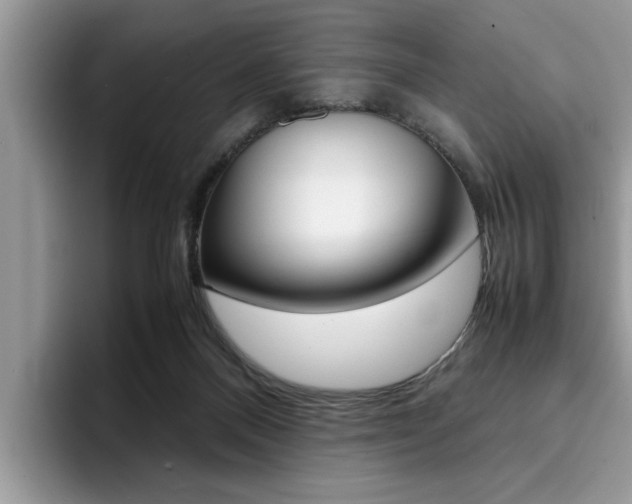 X0000094930120200711291009