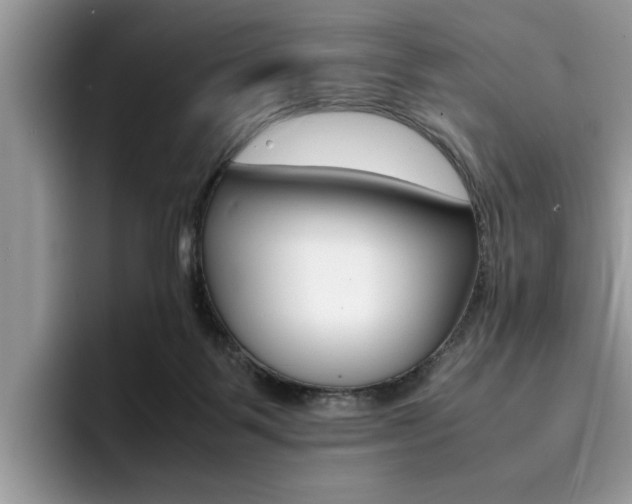 X0000094930123200711291009