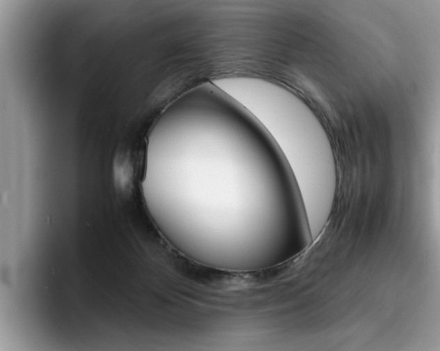 X0000094930124200711291009