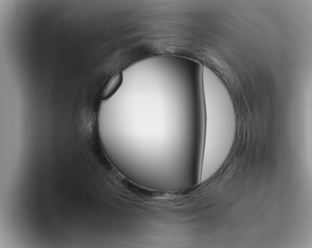 X0000094930125200711291009