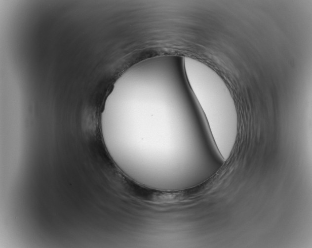 X0000094930129200711291009