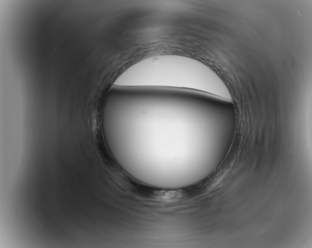 X0000094930135200711291008