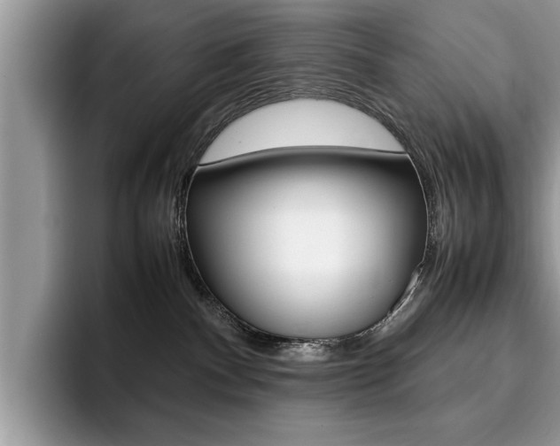 X0000094930140200711291008