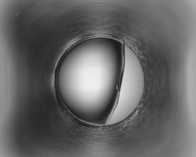 X0000094930148200711291008