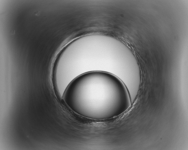 X0000094930150200711291008