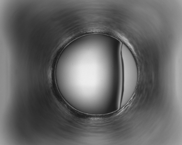 X0000094930154200711291008