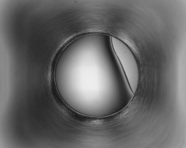 X0000094930156200711291008