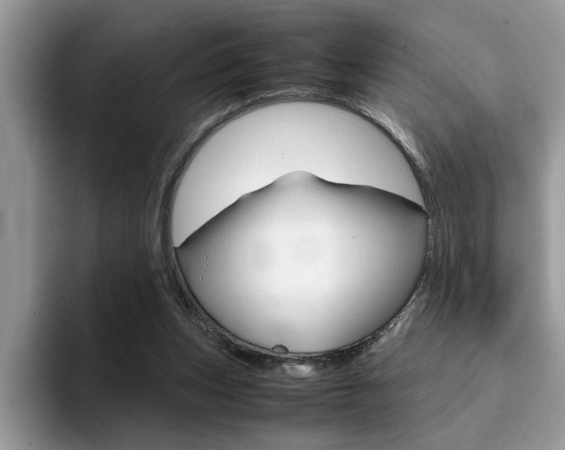 X0000094930159200711291008