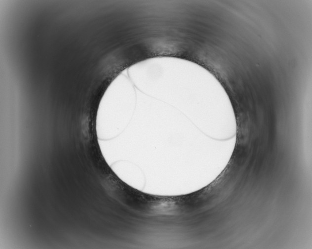 X0000094930162200711291008