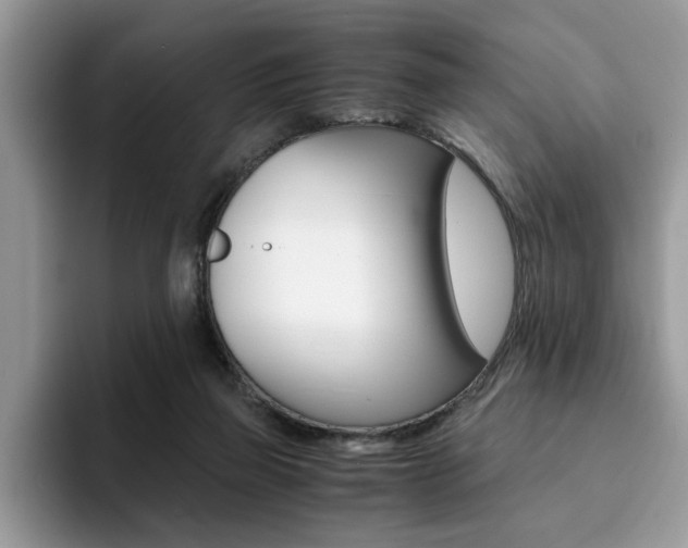 X0000094930165200711291008