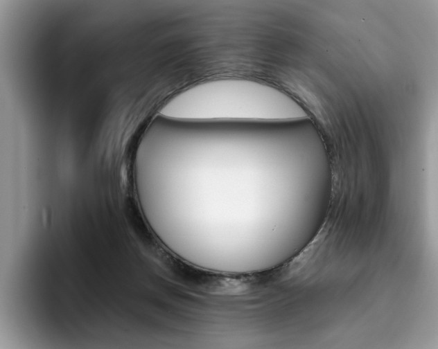 X0000094930166200711291008
