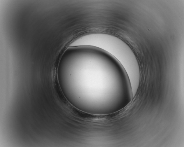 X0000094930168200711291008