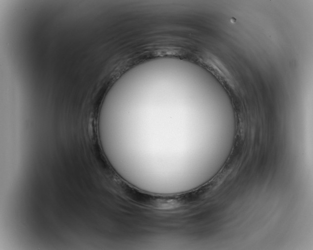 X0000094930169200711291008