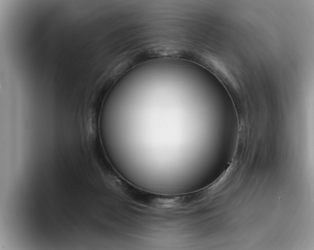 X0000094930170200711291008