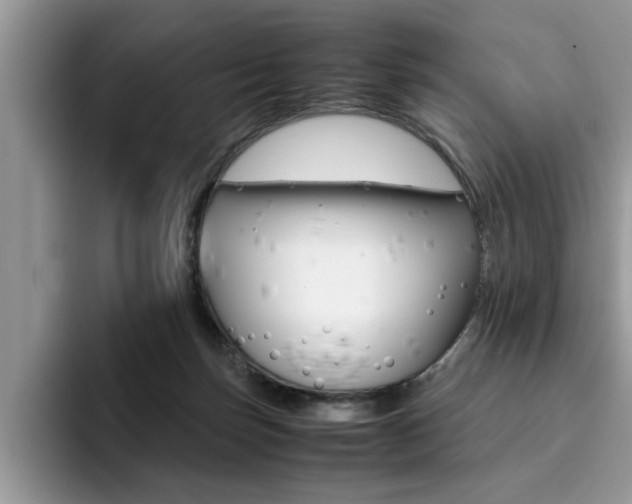 X0000094930171200711291008