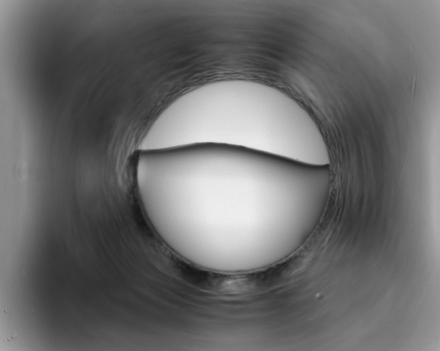 X0000094930173200711291008