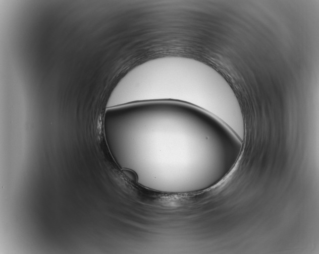 X0000094930190200711291008