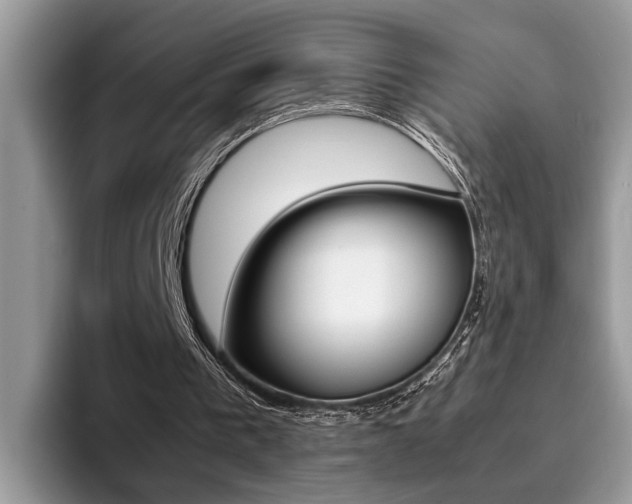 X0000094930193200711291008