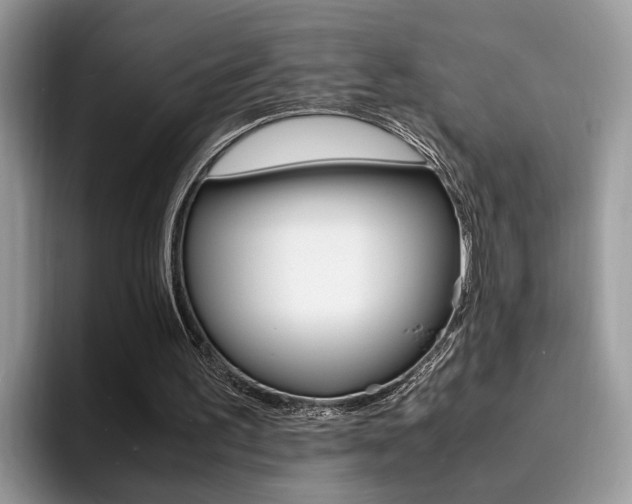 X0000094930195200711291008