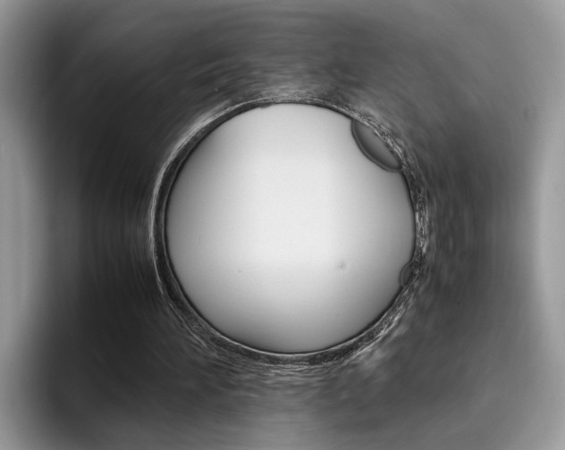 X0000094930196200711291008