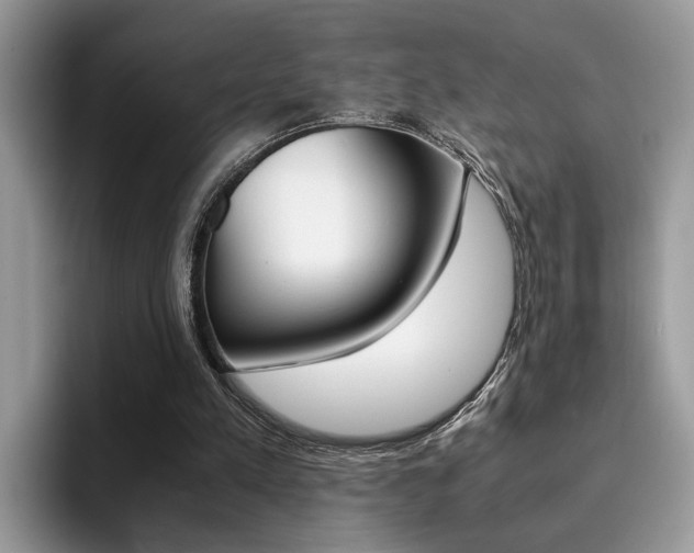 X0000094930197200711291008